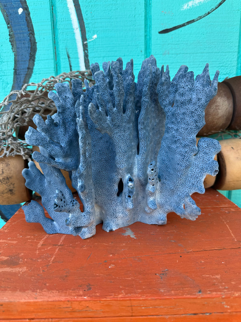 Blue coral on a wooden surface with a teal background