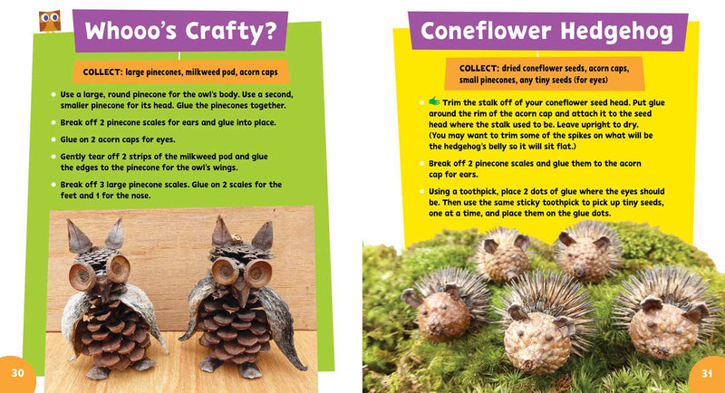 Instructions for creating pinecone owls and hedgehogs with text and images on a wooden and grass background.
