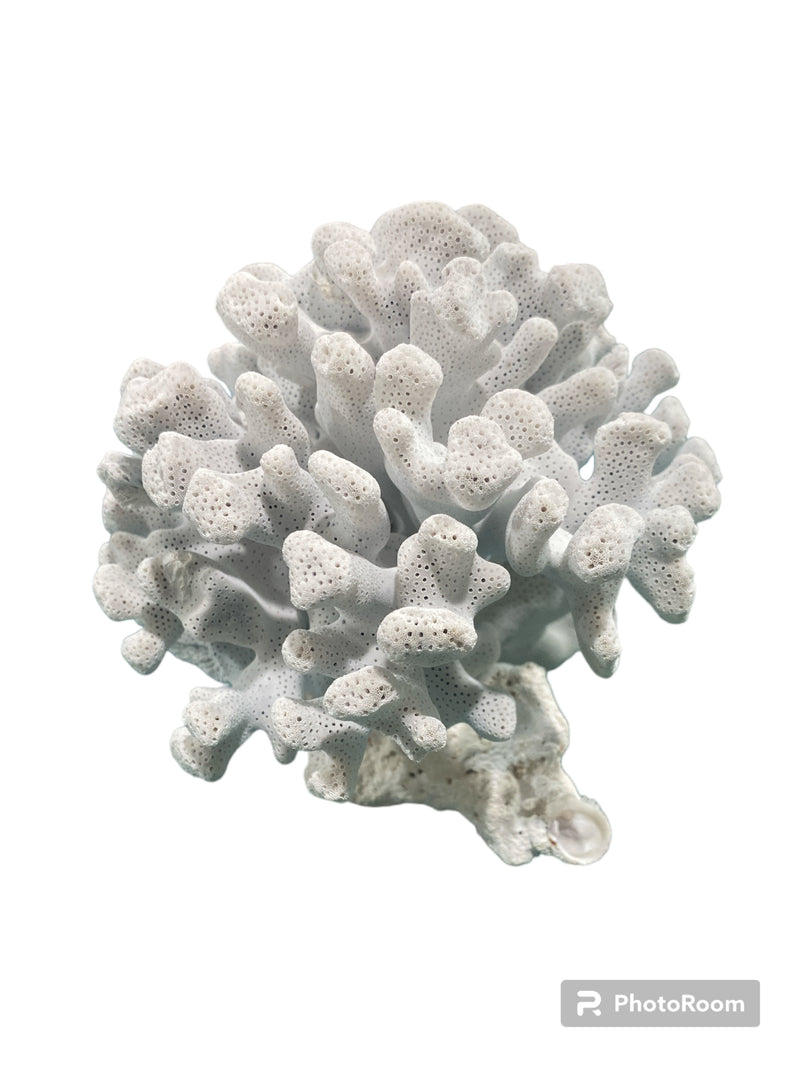 Vintage Blue Ridge Coral - 6 " W x 5 "H