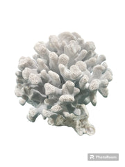 Vintage Blue Ridge Coral - 6 
