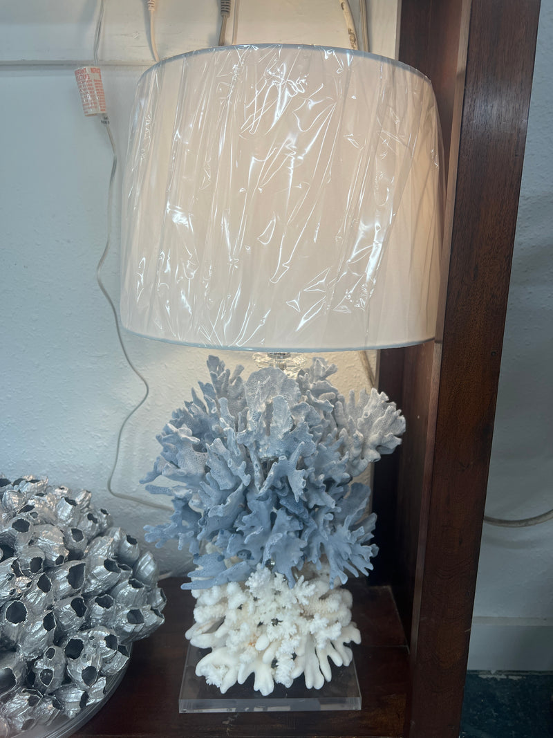 Real coral lamp with clear acrylic base, ocean-inspired coastal decor lighting