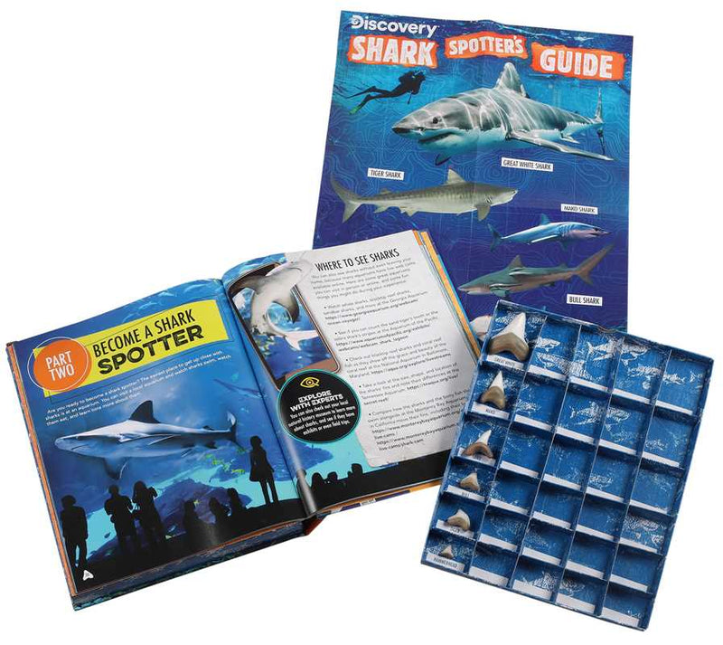 Shark spotting guide with shark illustrations and a compartmentalized box on a white background