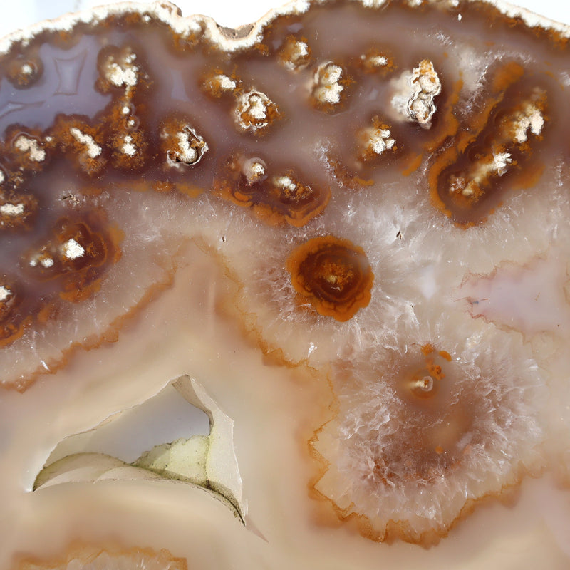 Agate Slice of Botryoidal Inclusions and Crystals | Loving Coastal Living