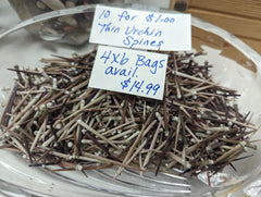 Bowl of small urchin spines with handwritten sign showing pricing for bags of spines.