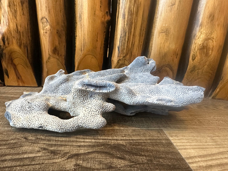 Vintage Blue Ridge Coral - 9x7x3"