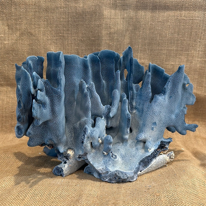 Vintage Blue Ridge Coral - 12"x9"x7"