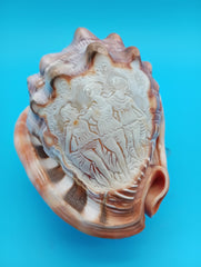 Helmet shell with carved Three Graces cameo – display shell 4.4