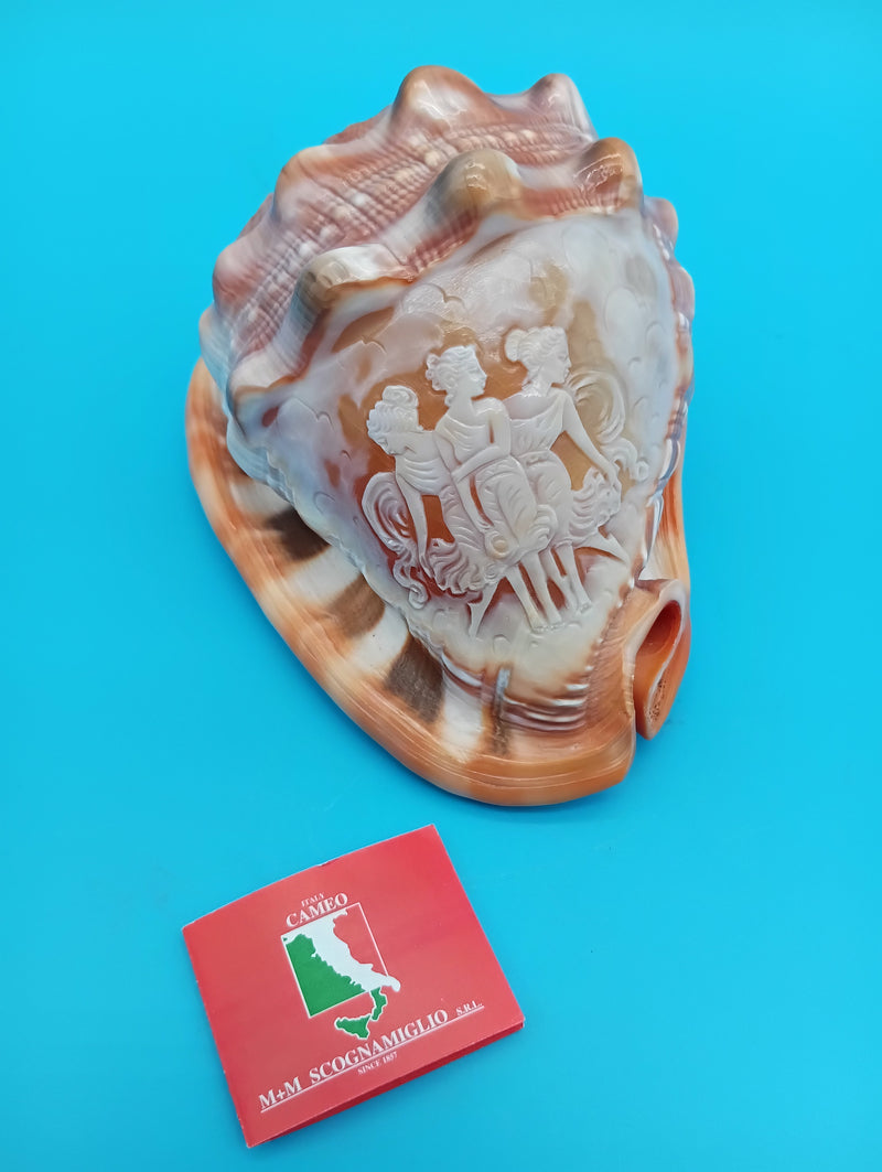Carved Cameo Helmet Shell 5" – Three Graces relief, Scognamiglio Italy