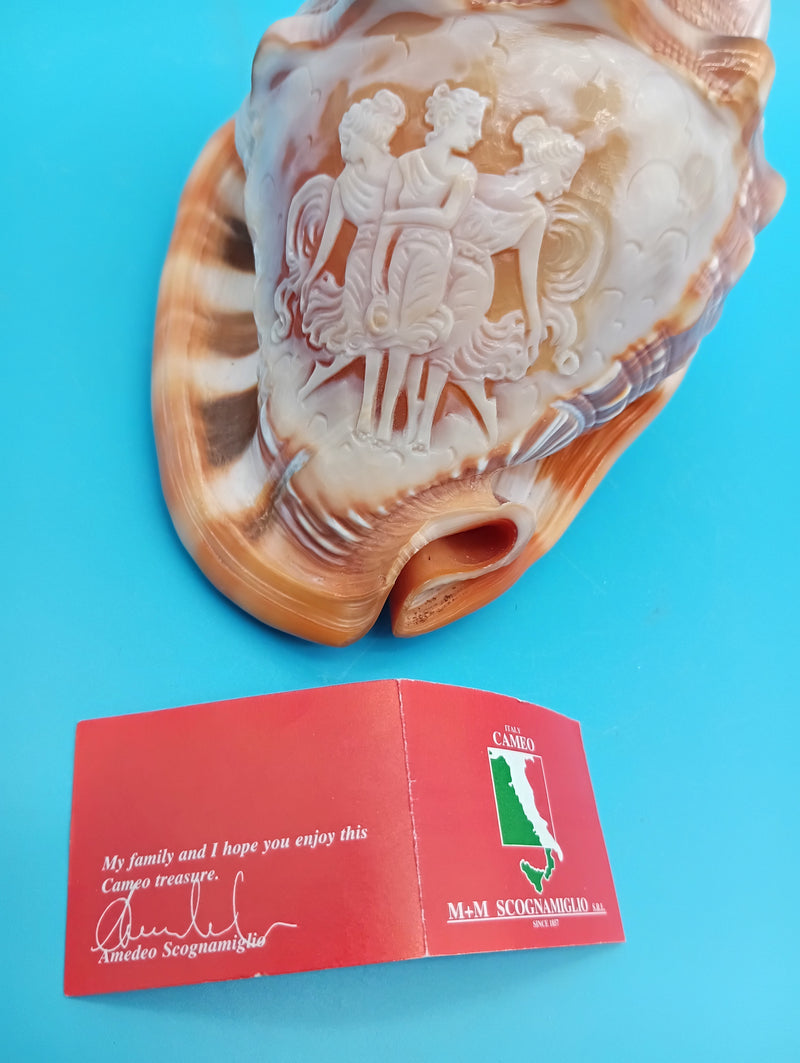 Carved Cameo Helmet Shell 5" – Three Graces relief, Scognamiglio Italy