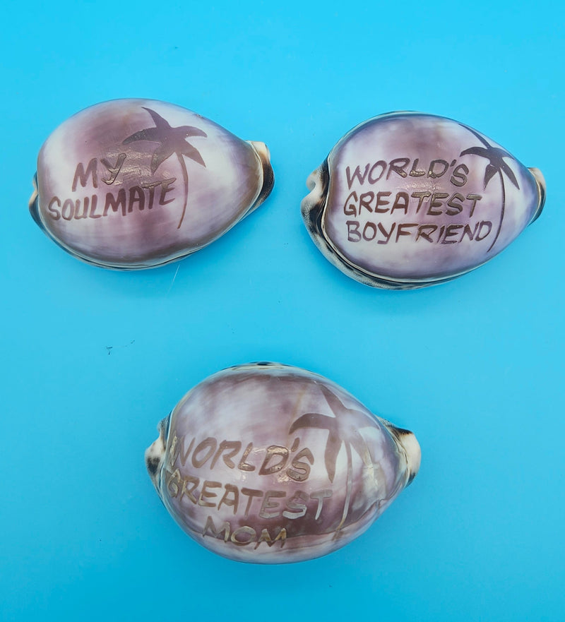 Three carved cowrie shell magnets with love and appreciation sayings