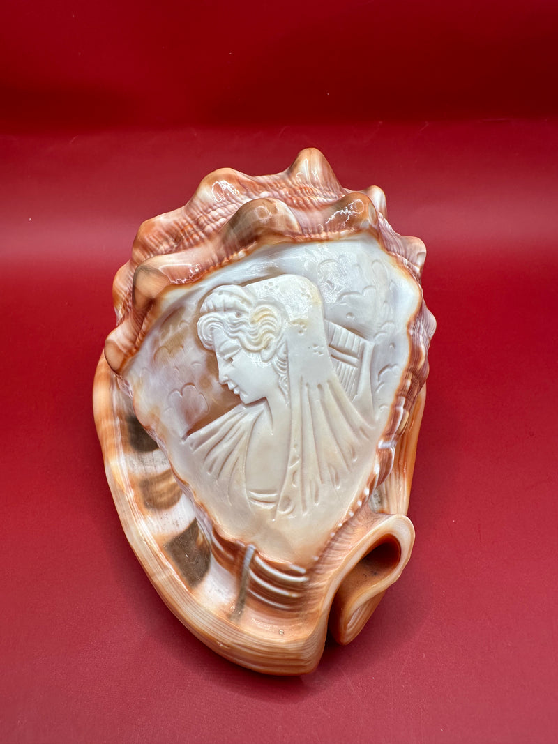 Carved shell with a face design on a red background