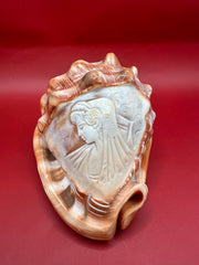 Carved shell with a face design on a red background