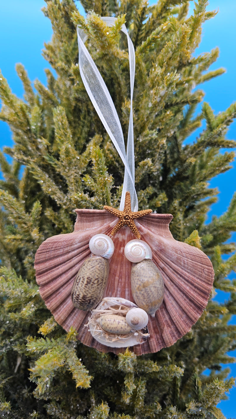 Christmas nativity ornament in coastal scallop shell style - seasonal holiday decoration