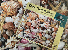 Close-up of scattered Shark Teeth and Shells puzzle pieces, highlighting intricate details of beach treasures.