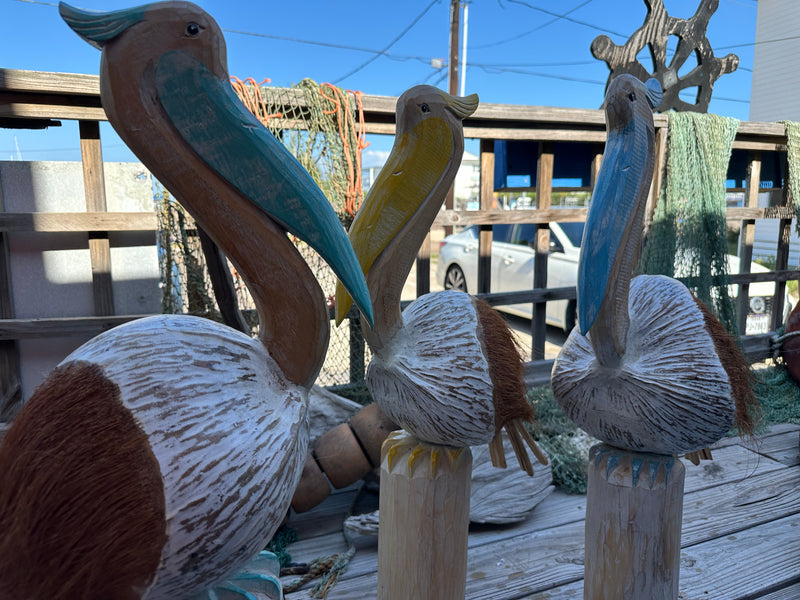 Close up of yellow, blue, and aqua Coconut Pelicans