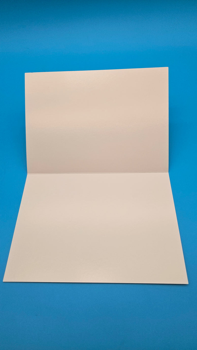 Coastal Christmas cards blank inside