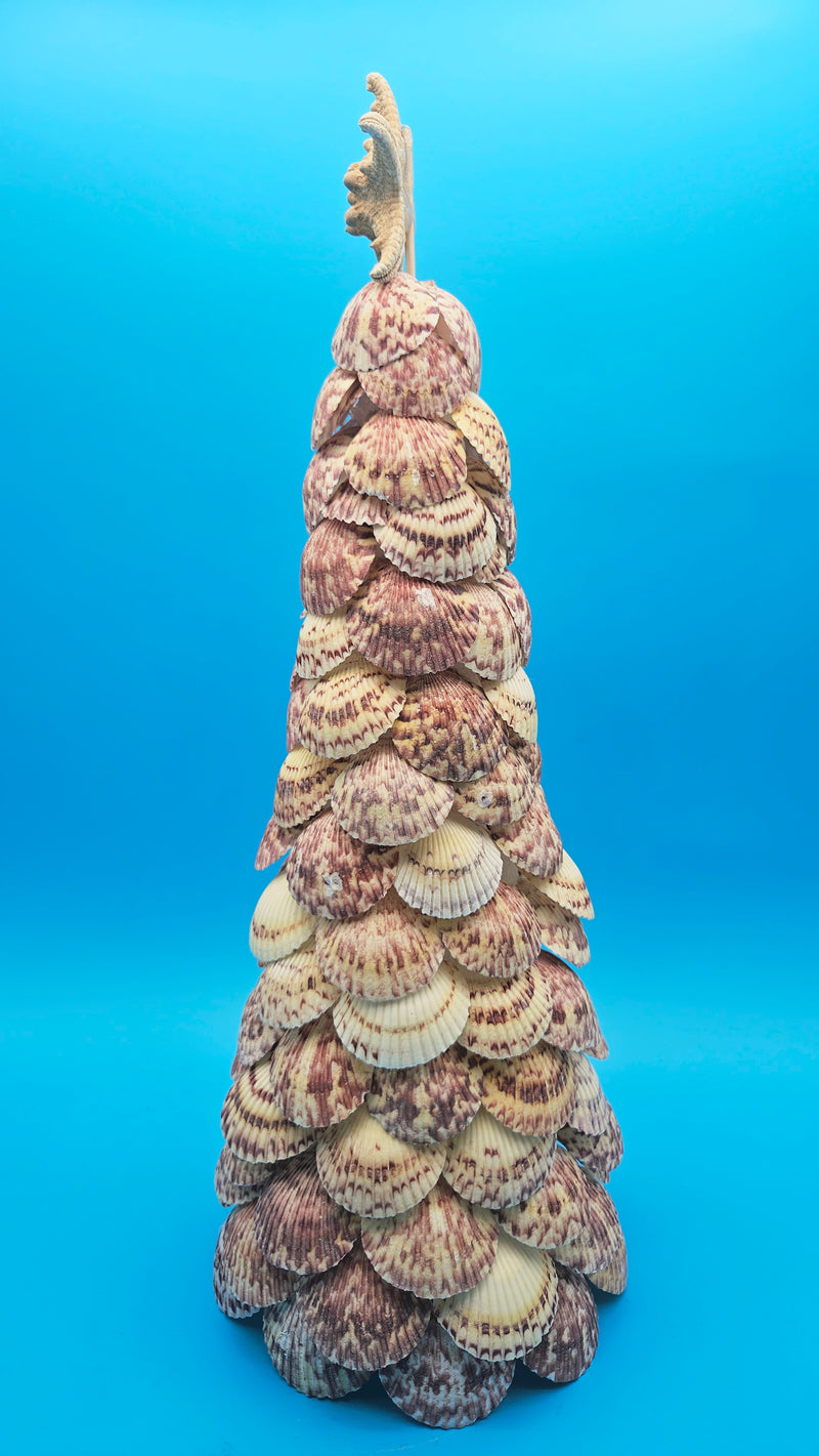 Close-up of scallop shells layered in natural tones forming a coastal Christmas tree.