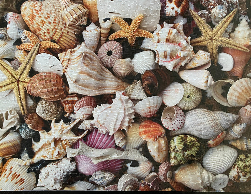 Completed Shark Teeth and Shells puzzle featuring beautifully arranged shells and shark teeth, 24" x 18".