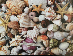 Completed Shark Teeth and Shells puzzle featuring beautifully arranged shells and shark teeth, 24