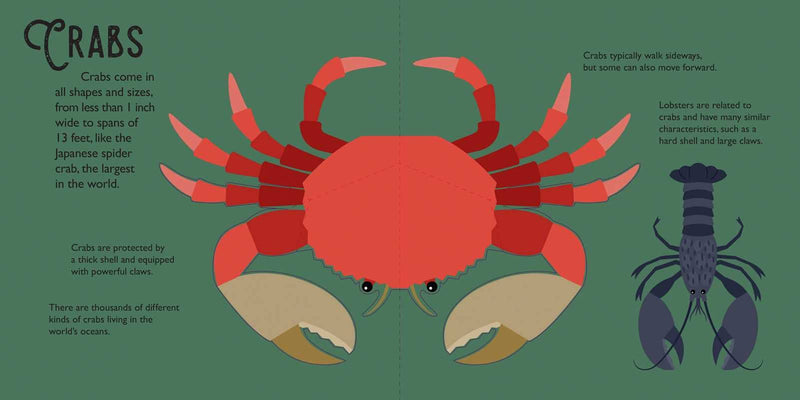 Illustration of a crab with text about crabs on a green background