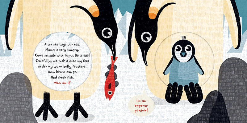 A page in Crack! showing the penguin eggs