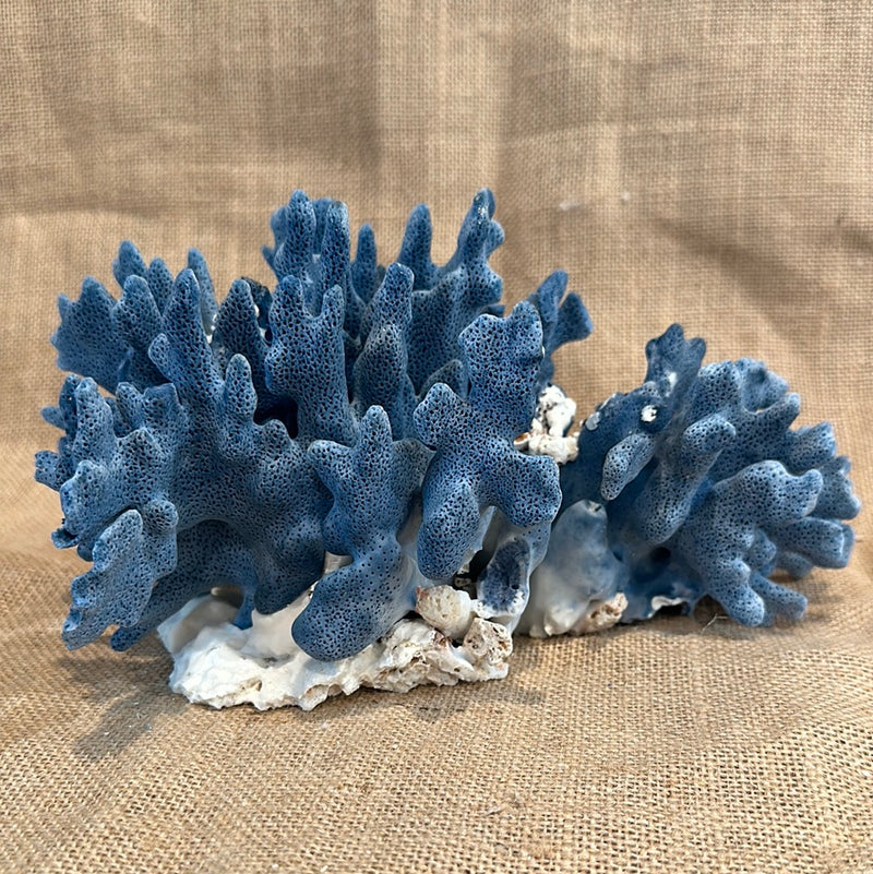 Vintage Blue Ridge Coral - 10"x6"x5"