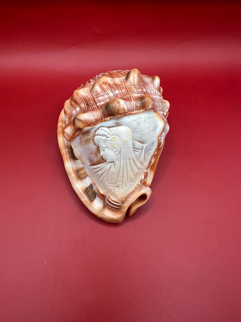 Decorative shell with a carved face on a red background