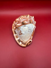 Decorative shell with a carved face on a red background