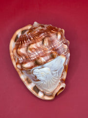 Decorative shell with a white face carvings on a red background