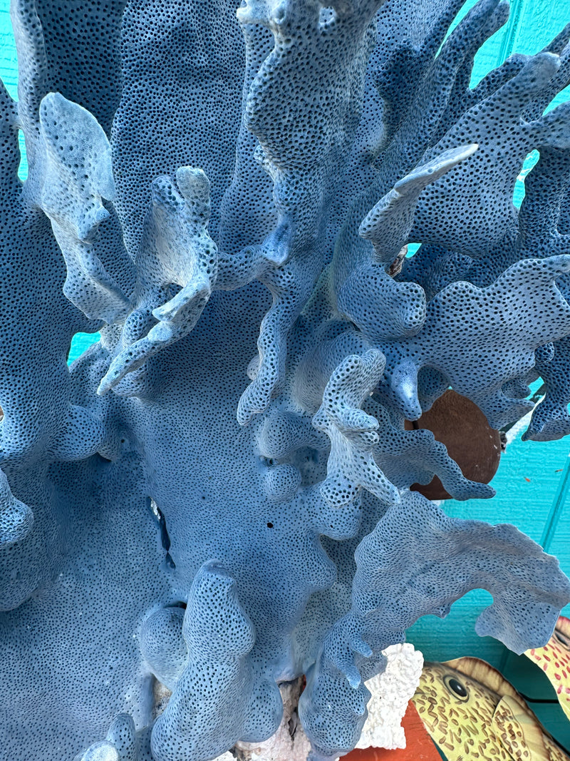 Detailed texture of vintage Blue Ridge Coral surface