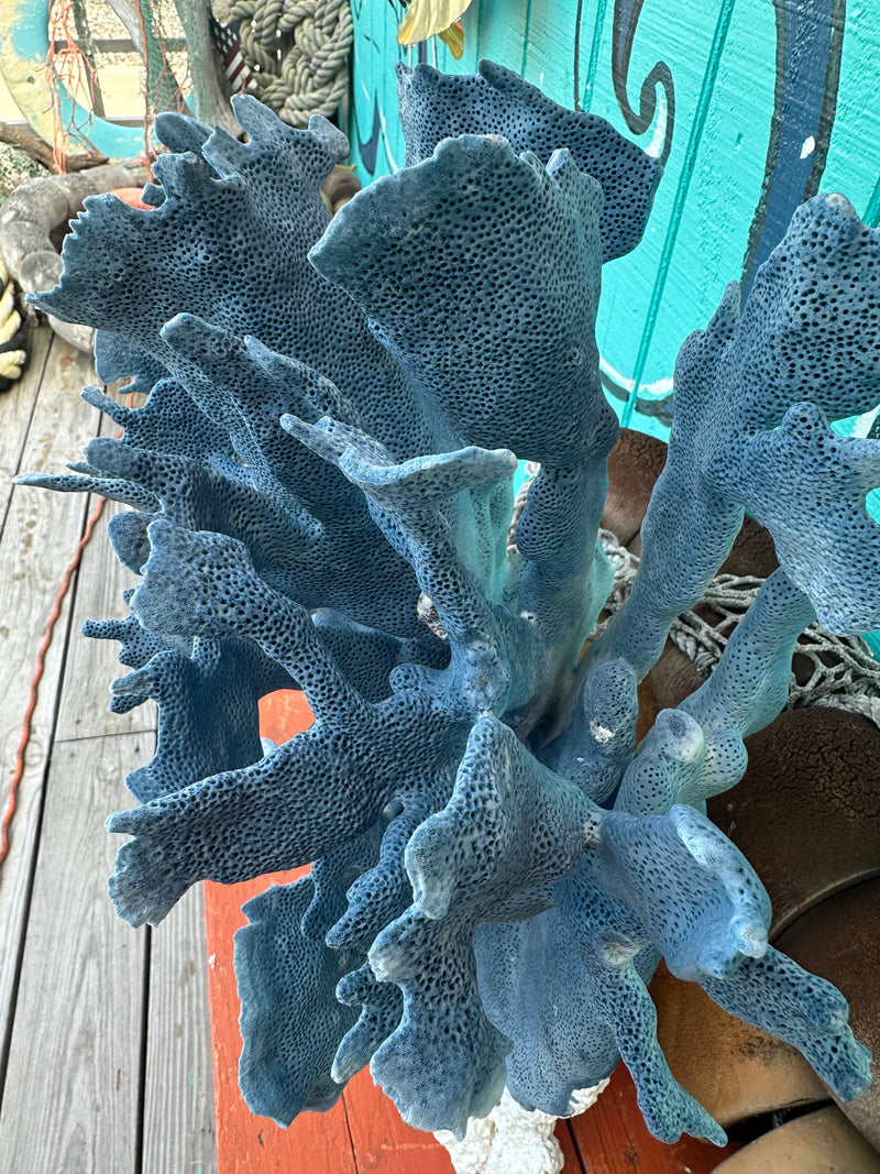 Detailed texture of vintage Blue Ridge Coral surface and ridges