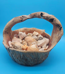 Driftwood basket filled with assorted seashells – rustic coastal home décor piece