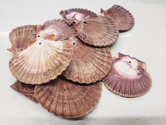 A collection of drilled Mexican Flat Scallop shells in soft pink and purple tones, featuring natural ribbed textures and smooth backs. The shells are arranged on a white surface, with small drilled holes making them perfect for crafting, jewelry, or decor projects.