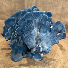 Vintage Blue Ridge Coral - 12
