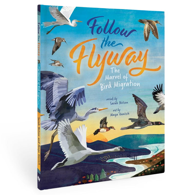 Cover of "Follow the Flyway" children's book featuring illustrations of migratory birds in flight.