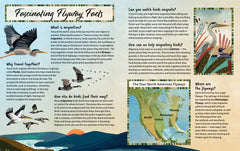 Follow the Flyway facts