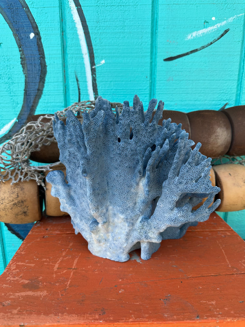 Front display of vintage Blue Ridge Coral specimen