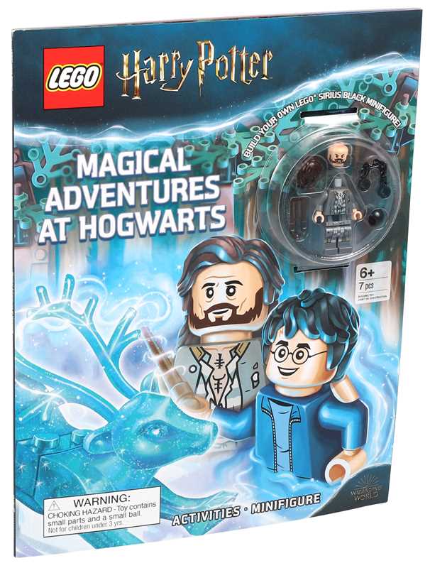 LEGO Harry Potter set packaging with characters and magical elements