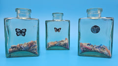 Glass bottle with bronze butterfly accent and seashell fill – coastal decorative home accessory