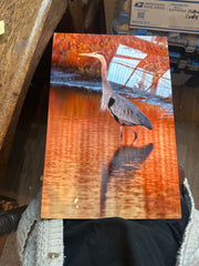 Great Blue Heron metal print close-up detail - signed George Weynard artwork 2014