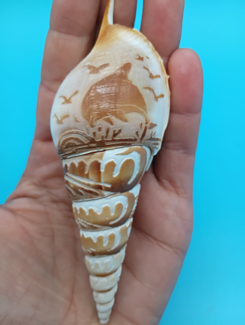 4.4" carved Tibia shell with dolphin coastal scene