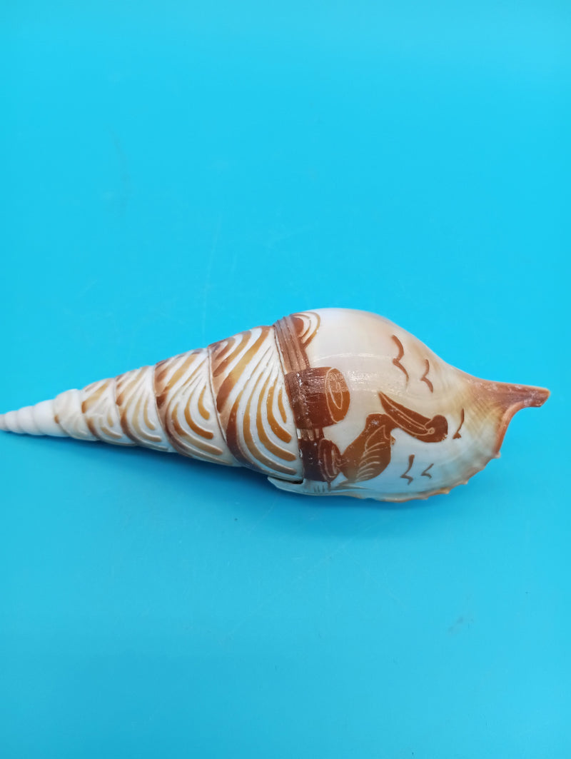 4.5" carved Tibia shell with pelican coastal scene