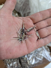 Close-up of hand holding small natural urchin spines in varying shades of brown and beige