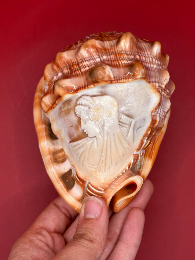 Hand holding a large shell with an engraved face against a red background