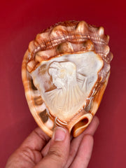 Hand holding a large shell with an engraved face against a red background