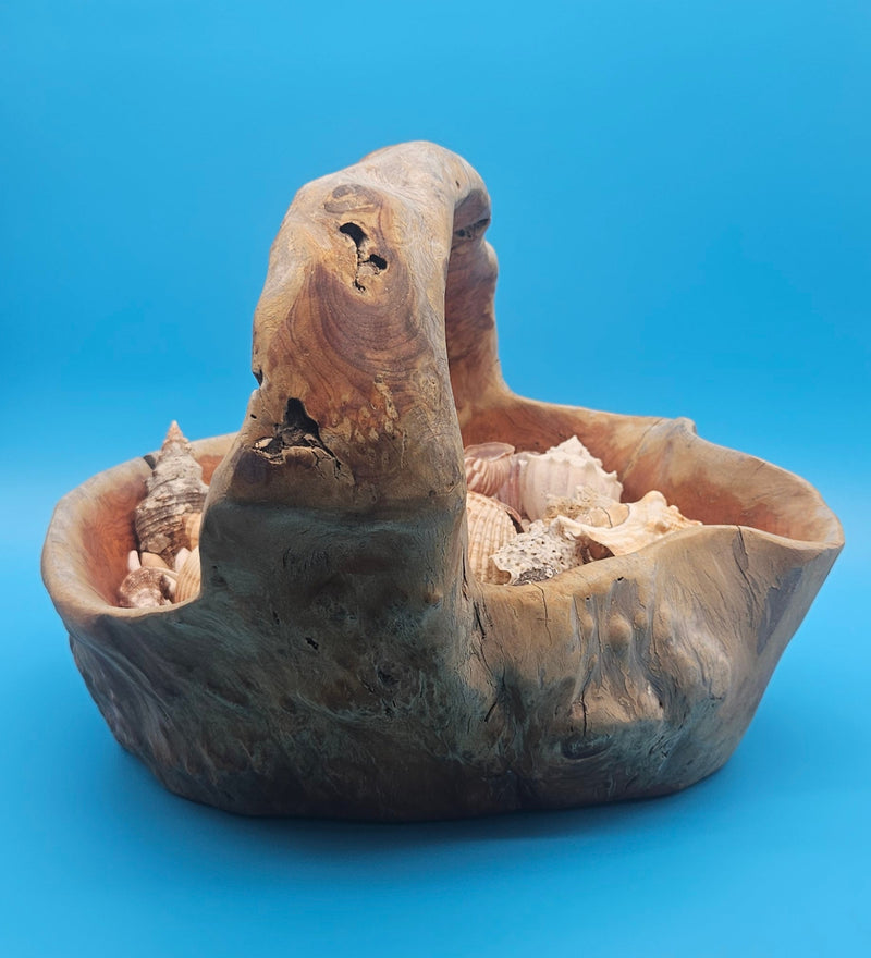 Natural driftwood basket with seashell assortment – decorative coastal centerpiece