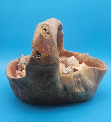 Natural driftwood basket with seashell assortment – decorative coastal centerpiece