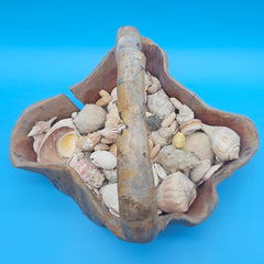 Handcrafted wood basket with shells – rustic coastal decorative accessory