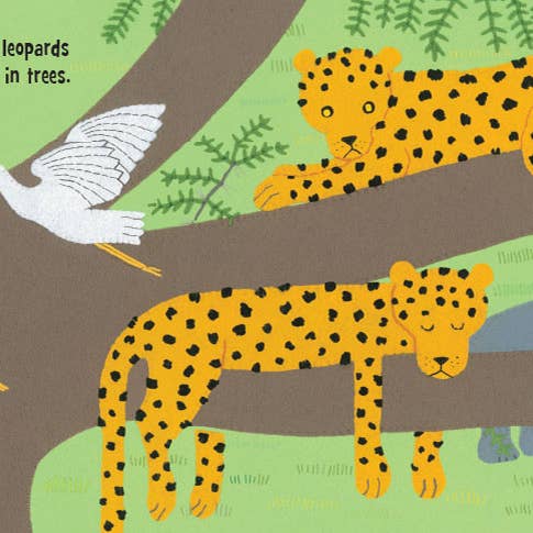 Hidden Hippo with leopards and a bird