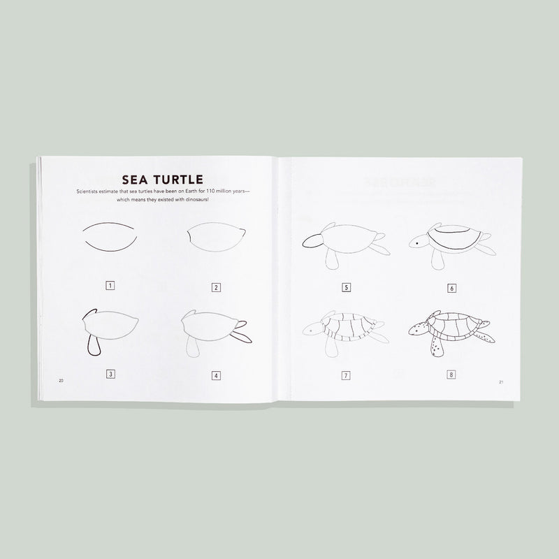 Under the Sea: How to Draw Books for Kids